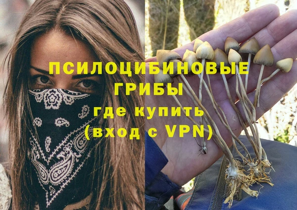 меф Алексин