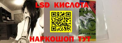 СК Краснознаменск