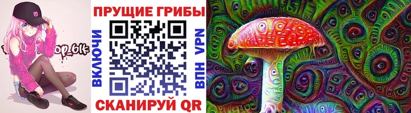 Псилоцибиновые грибы Cubensis  наркотики  Куйбышев 