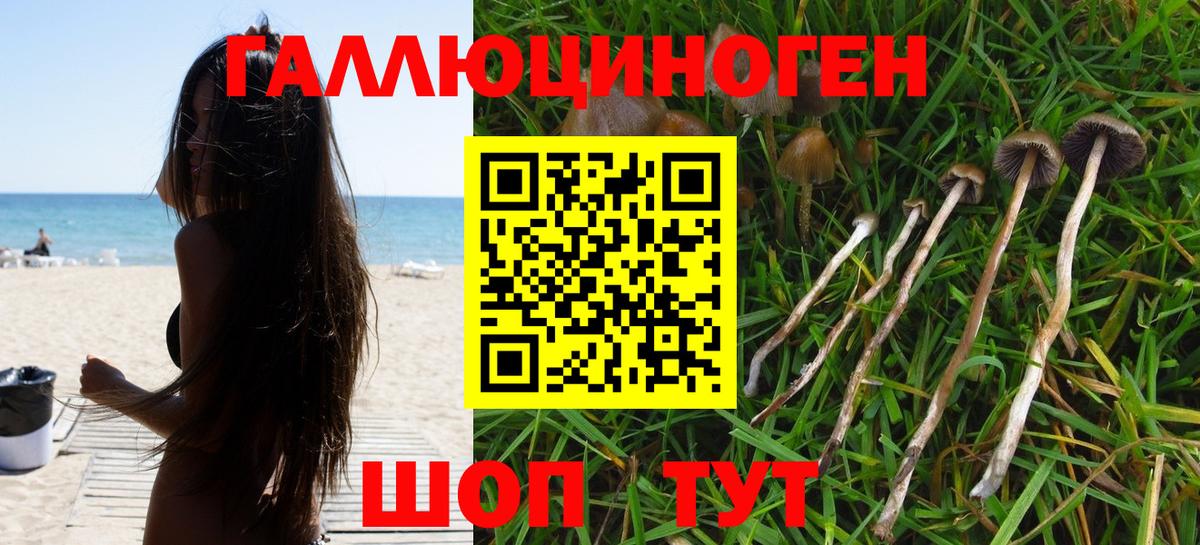 Галлюциногенные грибы GOLDEN TEACHER Куйбышев